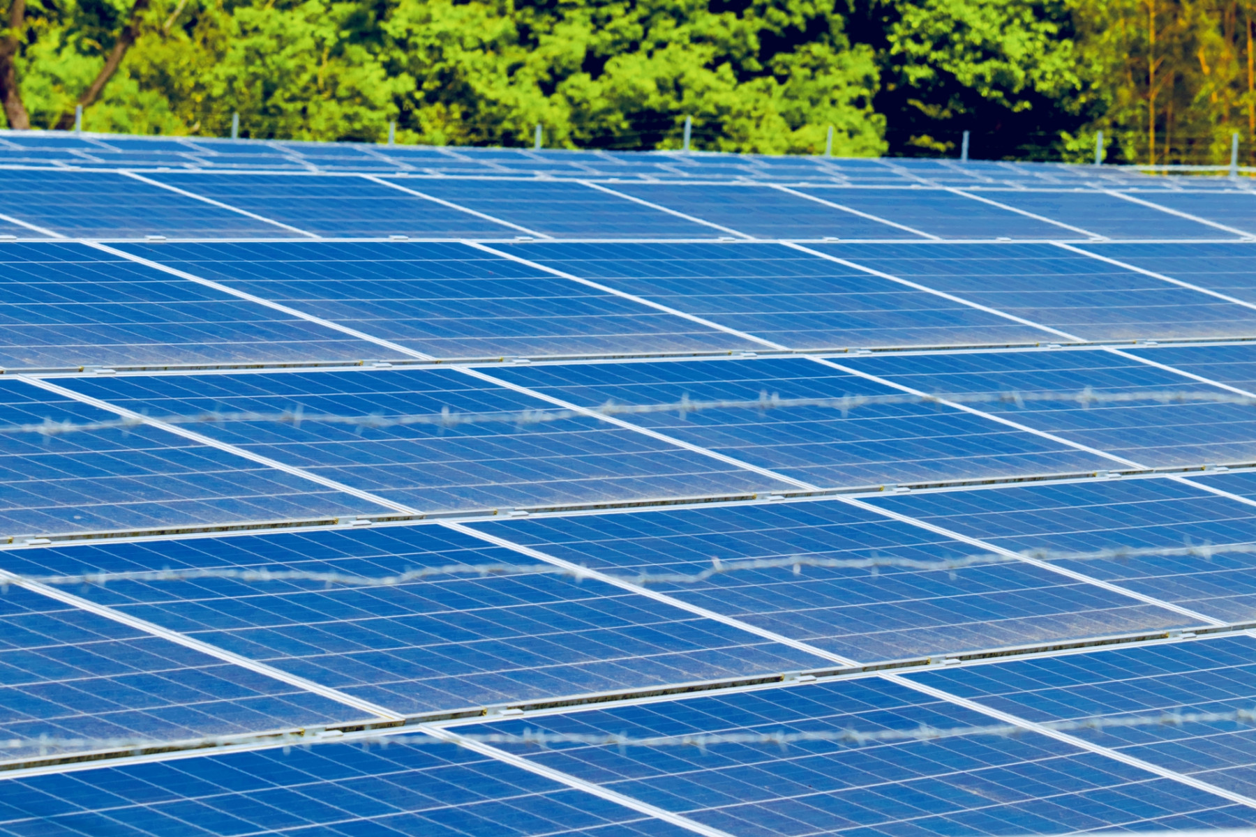 太陽光パネル