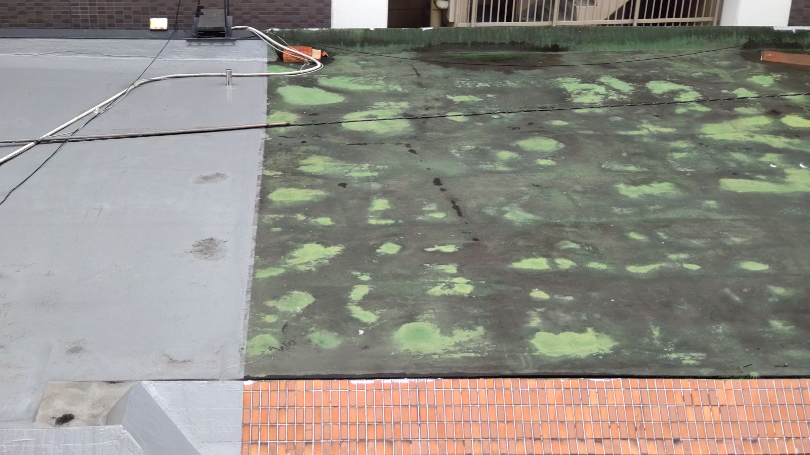 【大阪府大阪市】屋上防水トップコート施工で耐久性＆防水性アップ！